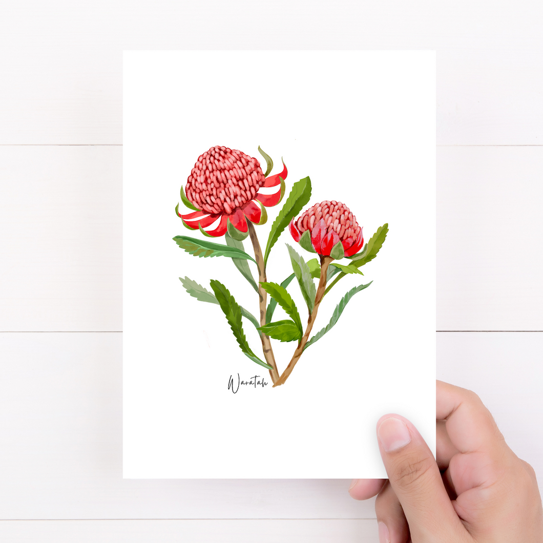 AGCC1003: Waratah Flower Card