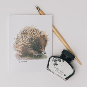 AGCC1012: Echidna Card