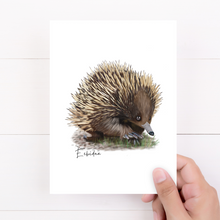 Load image into Gallery viewer, AGCC1012: Echidna Card
