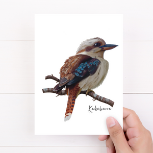 AGCC1013: Kookaburra Card