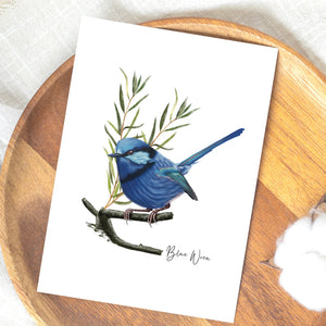 Lively & Radiant Australian Native Blue Wren Poster, Tote Bag & Card Set