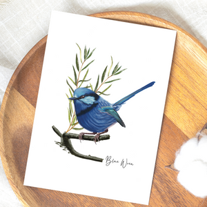 AGCC1014: Blue Wren Card