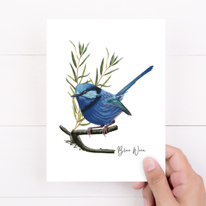 AGCC1014: Blue Wren Card