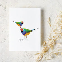 Load image into Gallery viewer, Vibrant &amp; Colourful Australian Native Gouldian Finch Poster, Scarf &amp; Card Set
