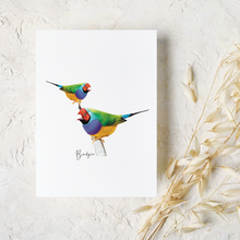 Load image into Gallery viewer, AGCC1015: Gouldian Finch Card
