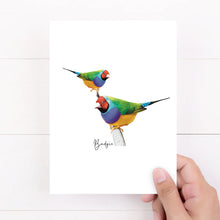 Load image into Gallery viewer, Vibrant &amp; Colourful Australian Native Gouldian Finch Poster, Scarf &amp; Card Set
