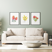 Load image into Gallery viewer, Australian Native Grevillea, Wattle, and Waratah Botanical Poster | Set of 3
