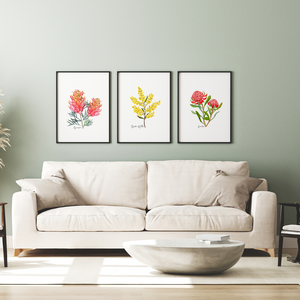 Australian Native Grevillea, Wattle, and Waratah Botanical Poster | Set of 3