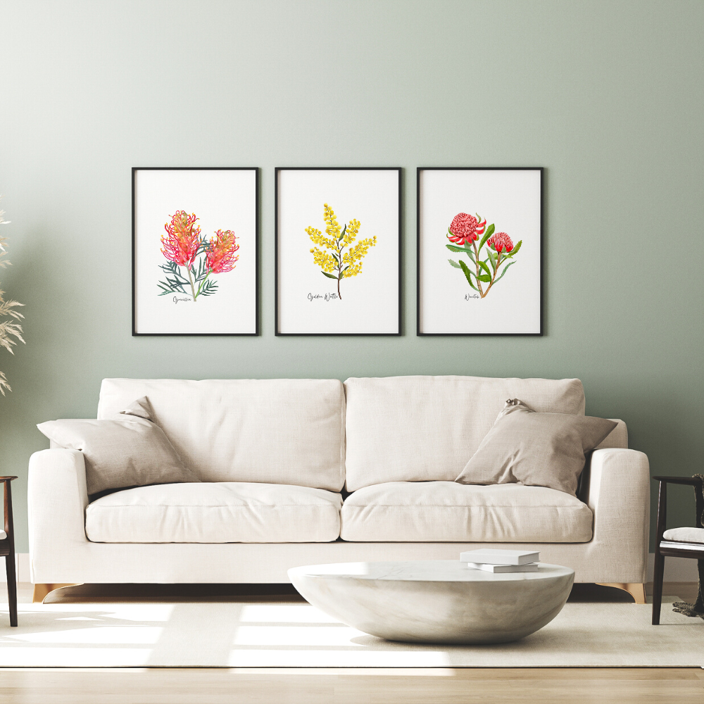 Australian Native Grevillea, Wattle, and Waratah Botanical Poster | Set of 3