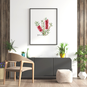 AGCP1001: Red: Bottlebrush Flower Poster