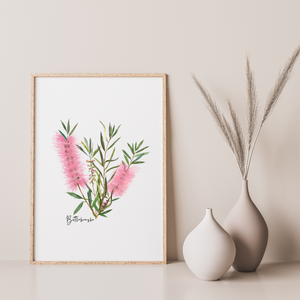 AGCP1002: Pink: Bottlebrush Flower Poster