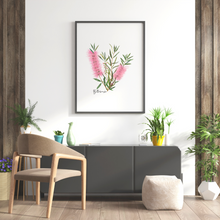 Load image into Gallery viewer, AGCP1002: Pink: Bottlebrush Flower Poster
