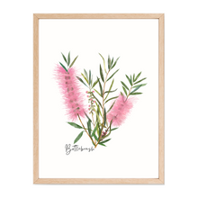 Load image into Gallery viewer, AGCP1002: Pink: Bottlebrush Flower Poster
