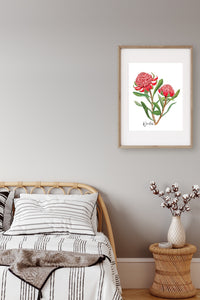 AGCP1003: Waratah Flower Poster