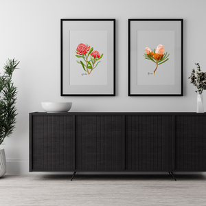 AGCP1003: Waratah Flower Poster