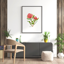 Load image into Gallery viewer, AGCP1003: Waratah Flower Poster
