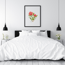 Load image into Gallery viewer, AGCP1003: Waratah Flower Poster
