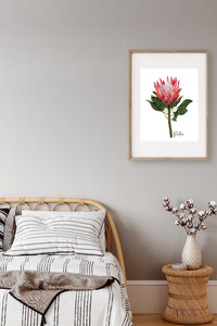 AGCP1004: Protea Flower Poster