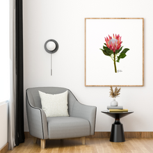 Load image into Gallery viewer, AGCP1004: Protea Flower Poster
