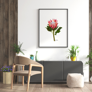 AGCP1004: Protea Flower Poster