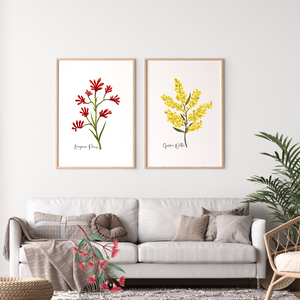 AGCP1006: Kangaroo Paw Flower Poster