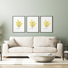 Load image into Gallery viewer, Warm &amp; Radiant Australian Native Golden Wattle Poster | Set of 3
