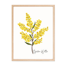 Load image into Gallery viewer, Australian Native Grevillea, Wattle, and Waratah Botanical Poster | Set of 3
