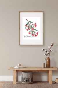 AGCP1008: Red Flowering Gum Poster