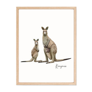 Majestic & Adventurous Australian Native Kangaroo Poster, Tote Bag & Card Set