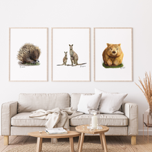 Load image into Gallery viewer, AGCP1011: Wombat Poster
