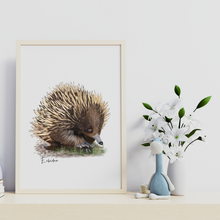 Load image into Gallery viewer, AGCP1012: Echidna Poster
