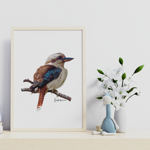 Load image into Gallery viewer, AGCP1013: Kookaburra Poster
