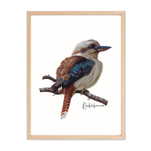 Load image into Gallery viewer, AGCP1013: Kookaburra Poster
