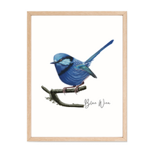 Load image into Gallery viewer, AGCP1014: Blue Wren Poster
