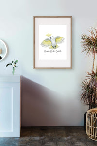 AGCP1018: Sulphur Crested Cockatoo Poster