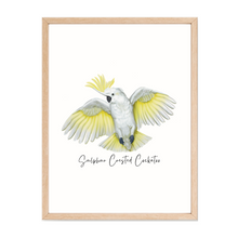 Load image into Gallery viewer, AGCP1018: Sulphur Crested Cockatoo Poster
