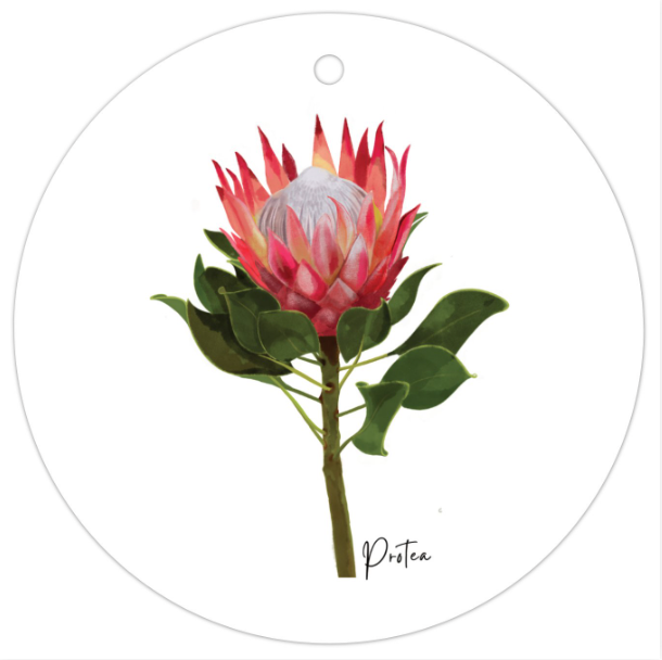 AGCTA1004: Protea Flower Gift Tag