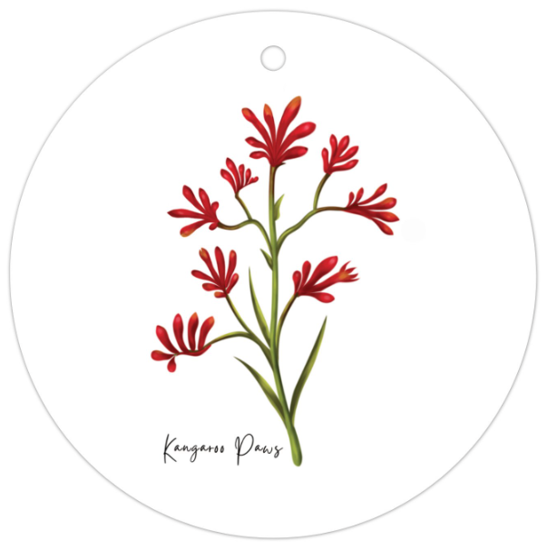 AGCTA1006: Kangaroo Paws Flower Gift Tag