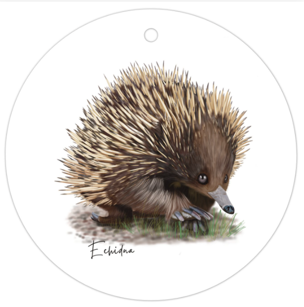 AGCTA1012: Echidna Gift Tag