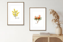 Load image into Gallery viewer, Bold &amp; Striking Australian Native Banksia and Wattle Poster | Set of 2
