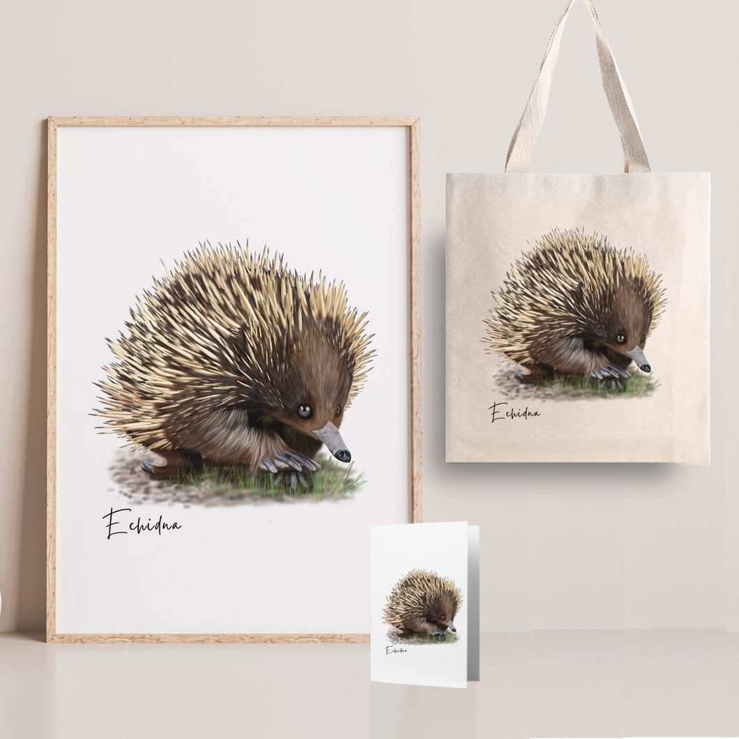 Charming & Unique Australian Native Echidna Poster, Tote Bag & Card Set